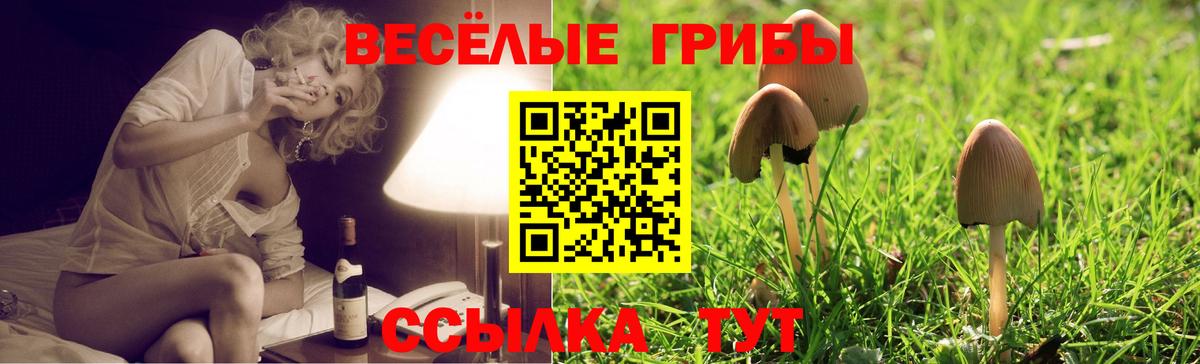 Псилоцибиновые грибы ЛСД Южно-Сахалинск